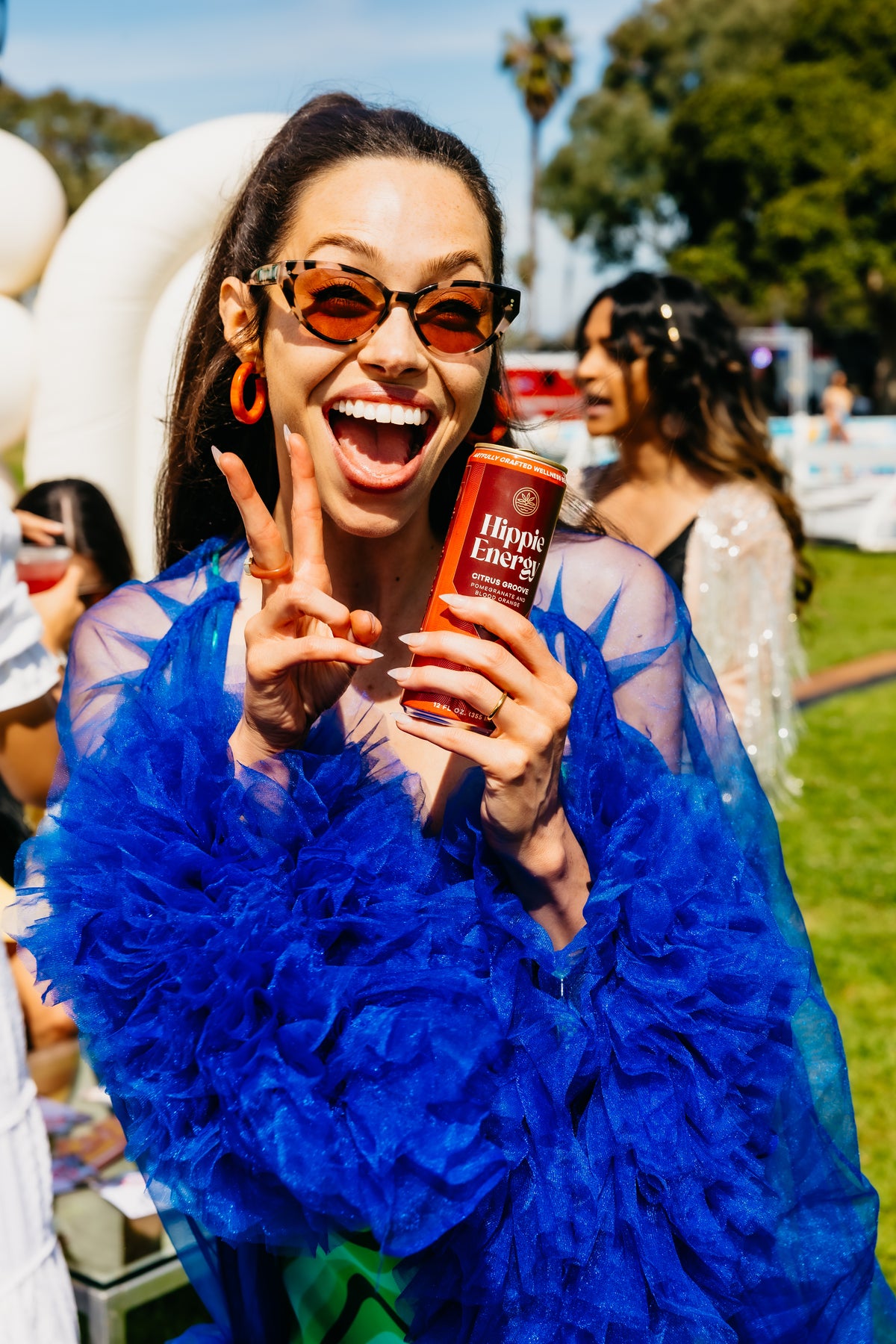 Hippie Energy review